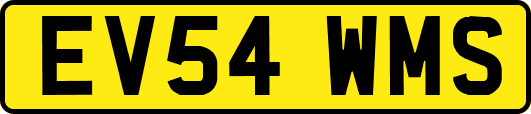 EV54WMS