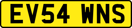 EV54WNS
