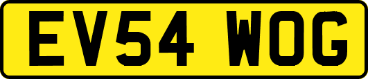 EV54WOG