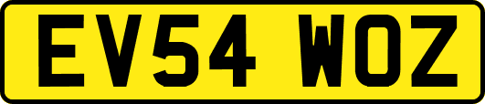 EV54WOZ