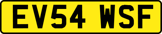 EV54WSF