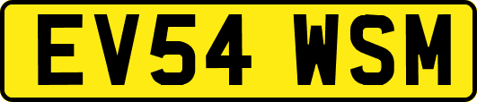 EV54WSM