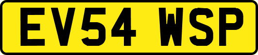 EV54WSP
