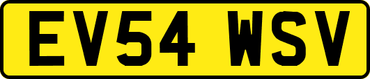 EV54WSV