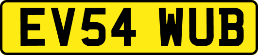 EV54WUB