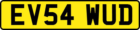 EV54WUD