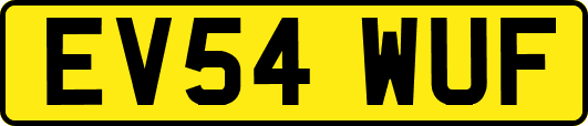 EV54WUF