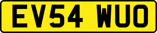 EV54WUO