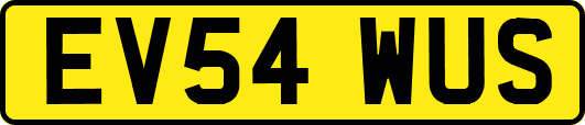 EV54WUS