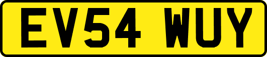 EV54WUY