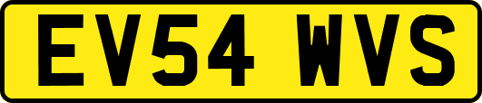 EV54WVS