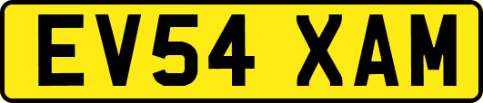 EV54XAM