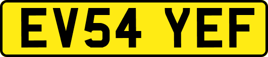 EV54YEF