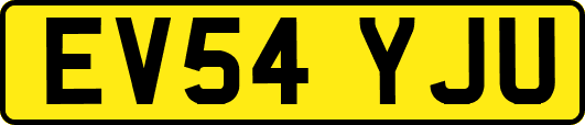 EV54YJU