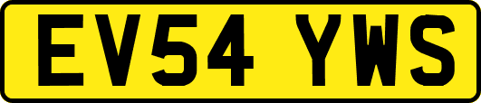 EV54YWS