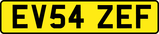 EV54ZEF