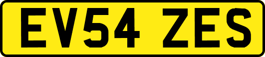 EV54ZES