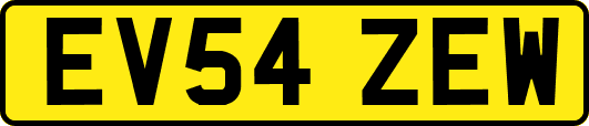 EV54ZEW