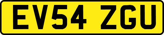 EV54ZGU