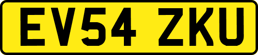 EV54ZKU