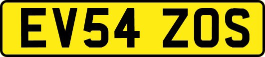 EV54ZOS