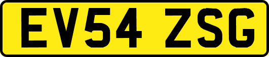 EV54ZSG