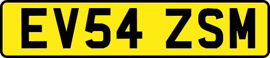 EV54ZSM