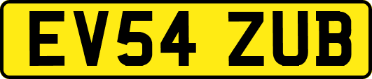 EV54ZUB