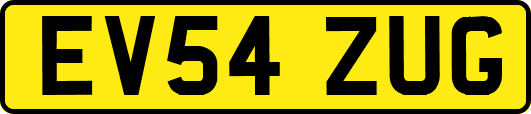 EV54ZUG