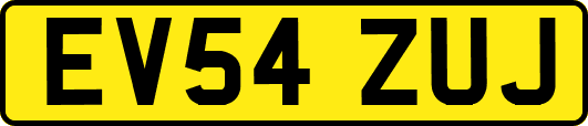 EV54ZUJ