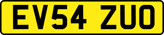 EV54ZUO