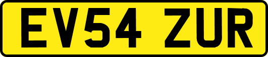 EV54ZUR