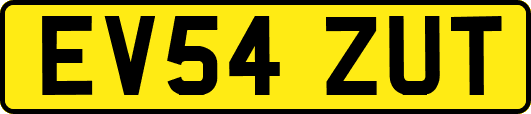 EV54ZUT