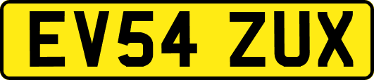 EV54ZUX