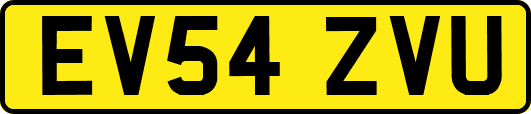 EV54ZVU
