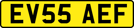 EV55AEF