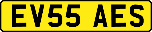 EV55AES