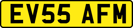 EV55AFM