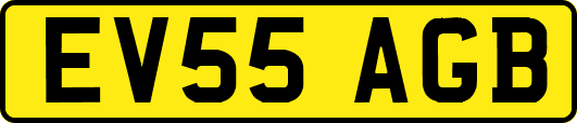 EV55AGB