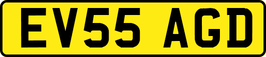 EV55AGD