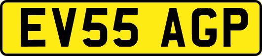 EV55AGP