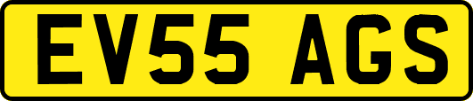 EV55AGS