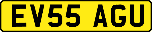 EV55AGU