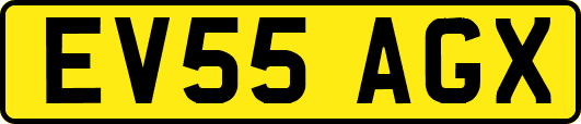 EV55AGX