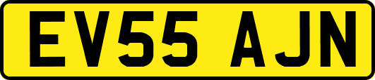 EV55AJN