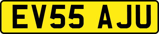 EV55AJU
