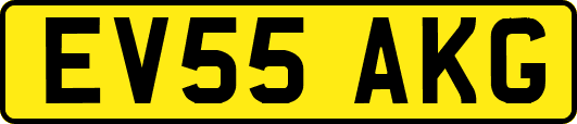 EV55AKG