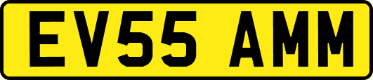 EV55AMM