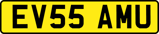 EV55AMU