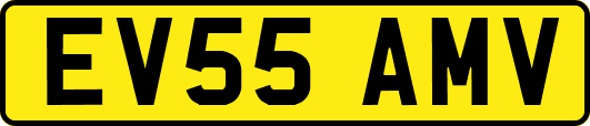 EV55AMV